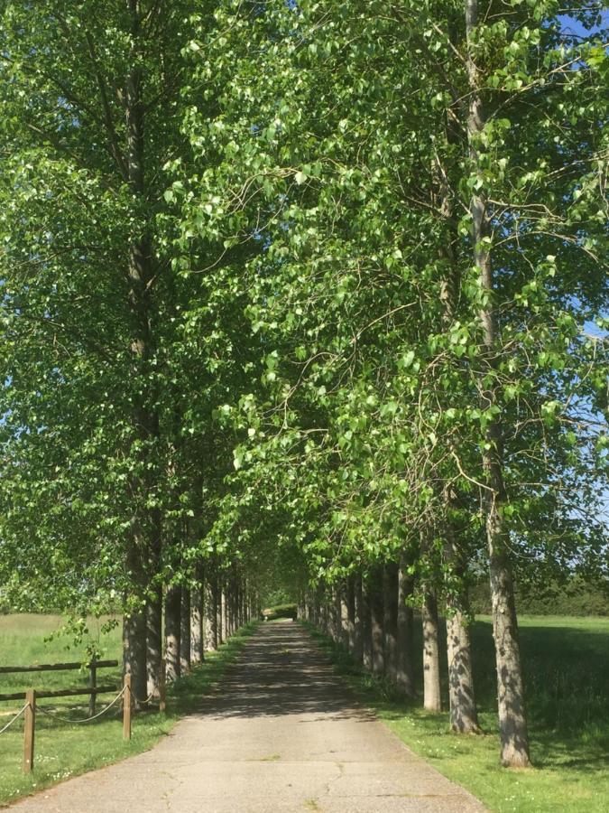 הוילה Baltonsborough The Long Barn מראה חיצוני תמונה